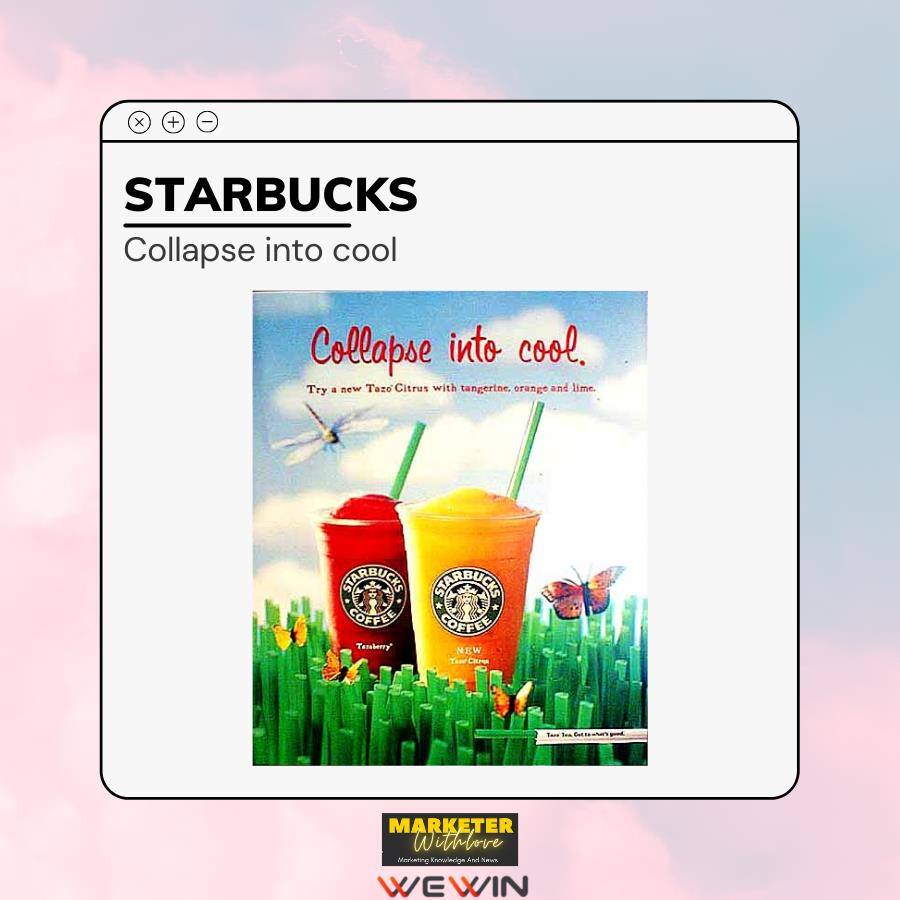 STARBUCK - Collapse into cool